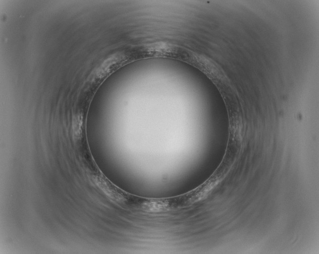X0000083660660200702261143