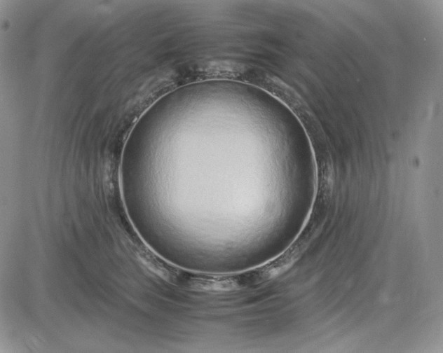 X0000083660663200702261143