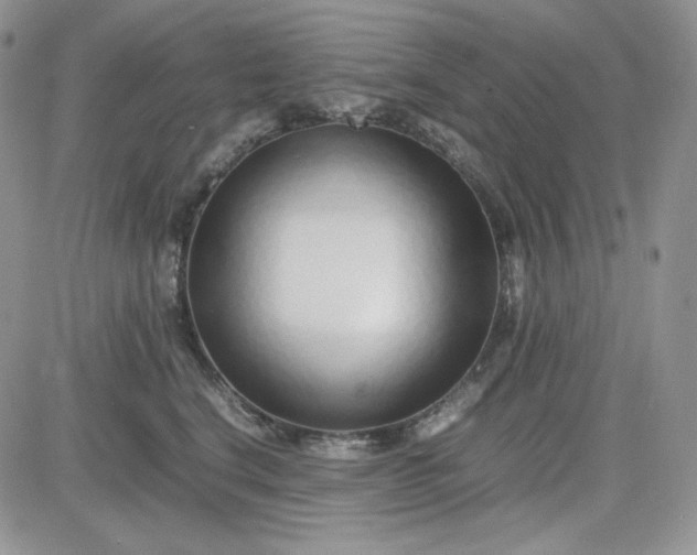 X0000083660664200702261143