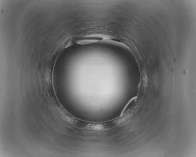 X0000083660665200702261143