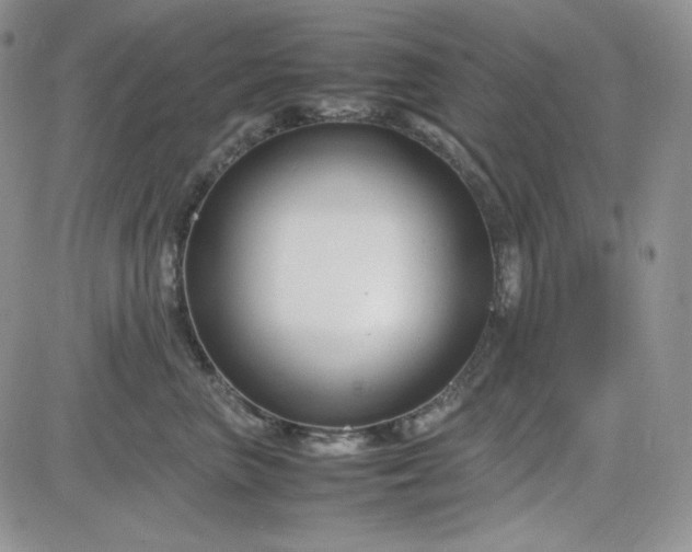X0000083660667200702261143