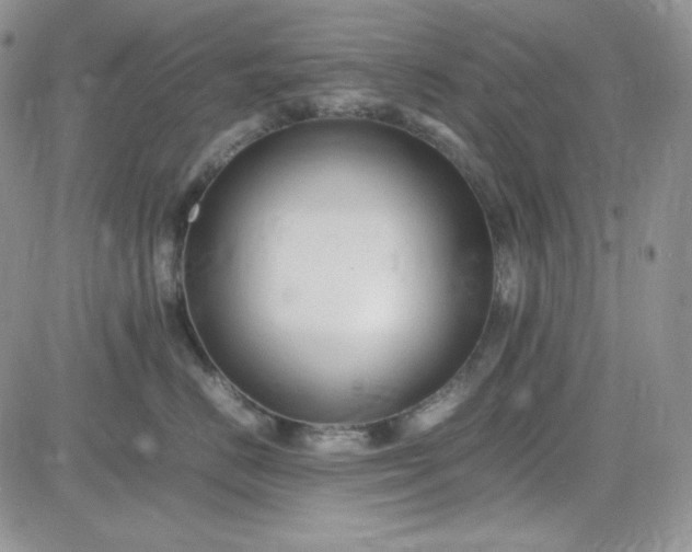 X0000083660670200702261143