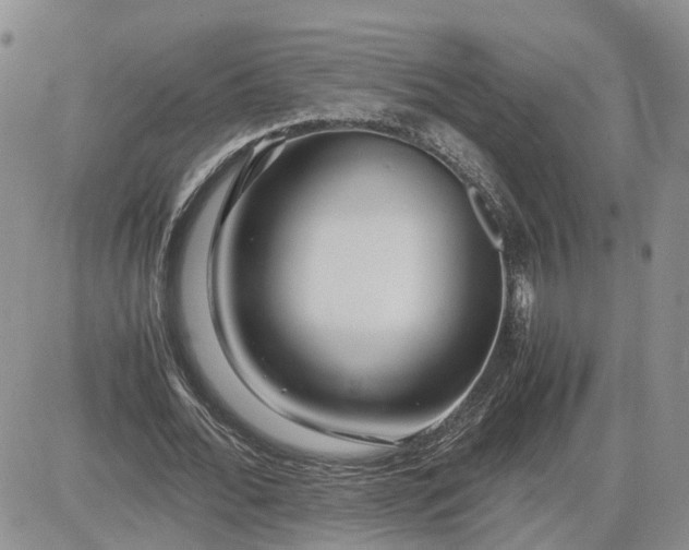 X0000083660676200702261142