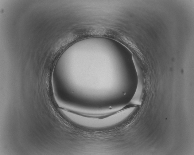 X0000083660681200702261142