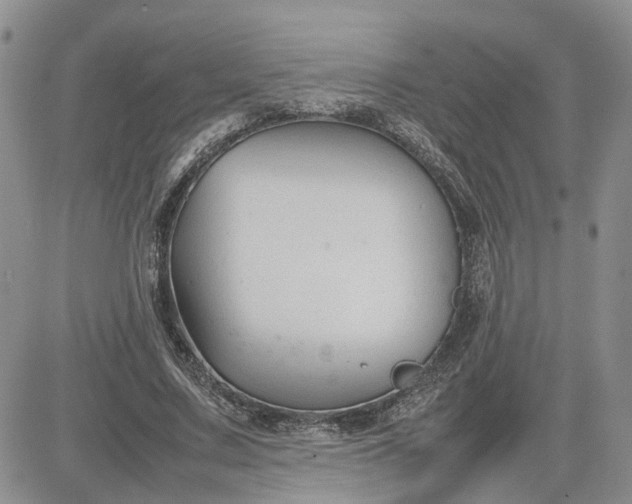 X0000083660683200702261142