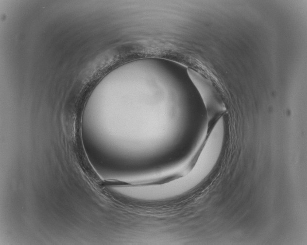 X0000083660685200702261142