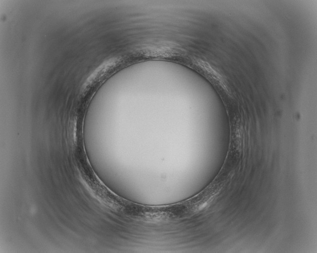 X0000083660686200702261142