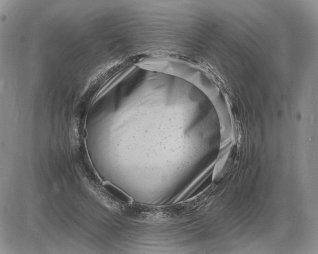 X0000083660688200702261142