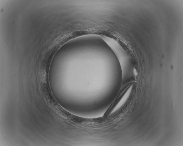 X0000083660689200702261142