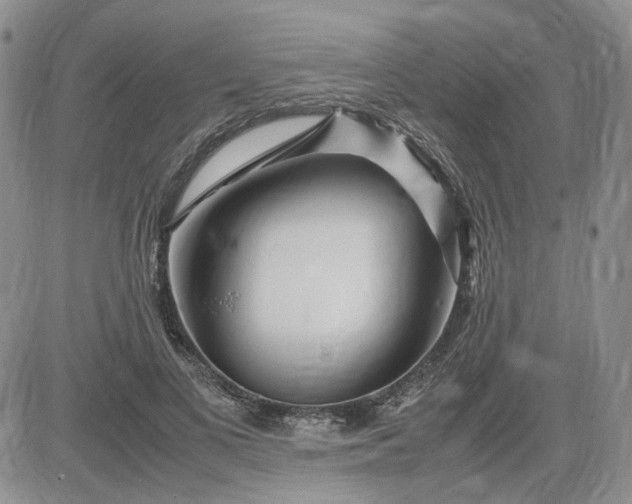 X0000083660693200702261142