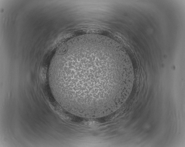 X0000083660695200702261142