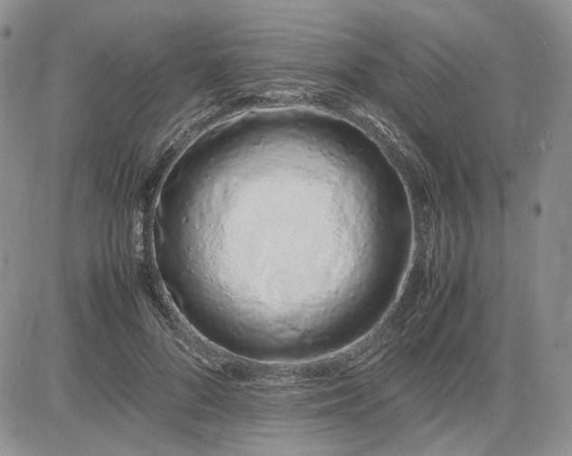 X0000083660696200702261142