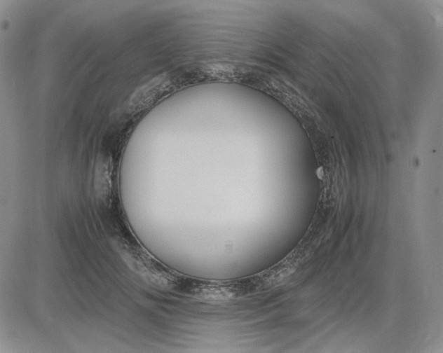 X0000083660702200702261142