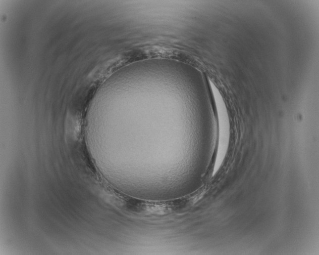 X0000083660709200702261142