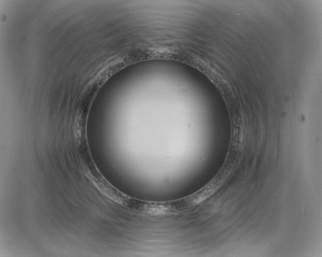 X0000083660710200702261142