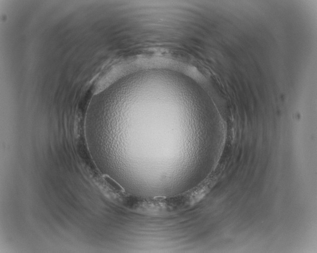 X0000083660712200702261142