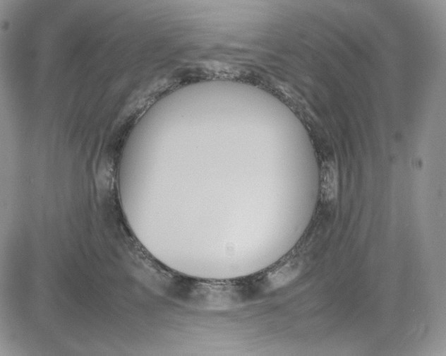 X0000083660713200702261142