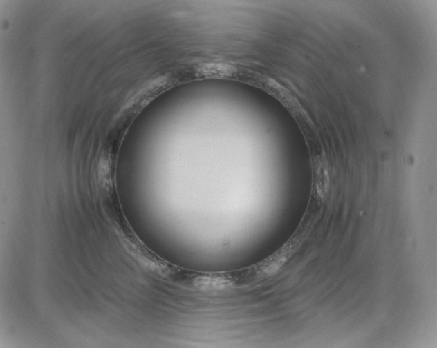 X0000083660714200702261142