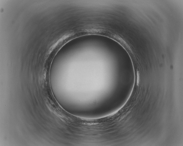 X0000083660723200702261141