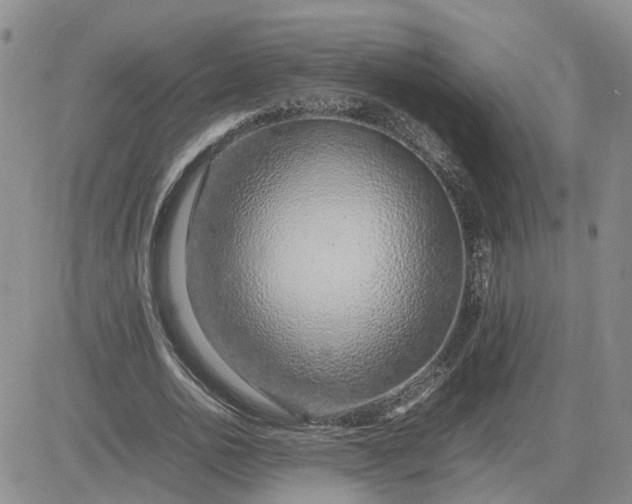 X0000083660726200702261141