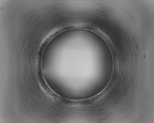 X0000083660730200702261141