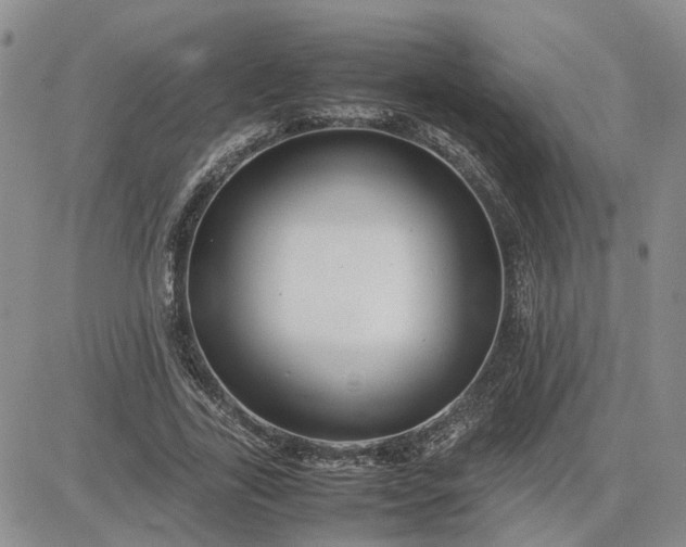 X0000083660731200702261141