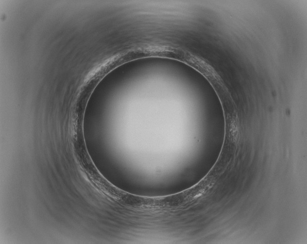 X0000083660732200702261141