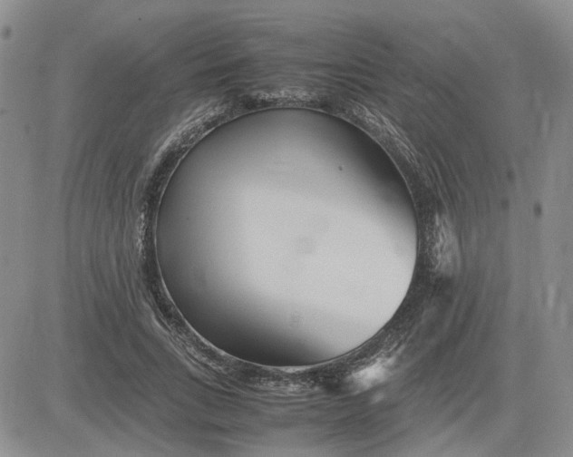 X0000083660735200702261141