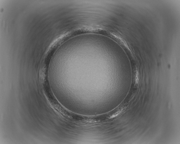 X0000083660736200702261141