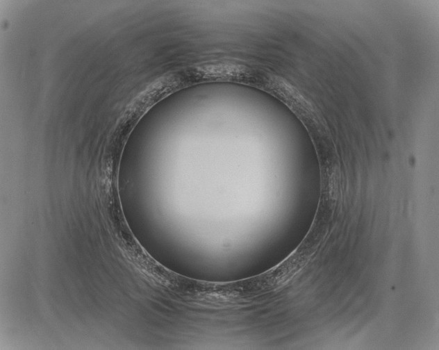 X0000083660737200702261141