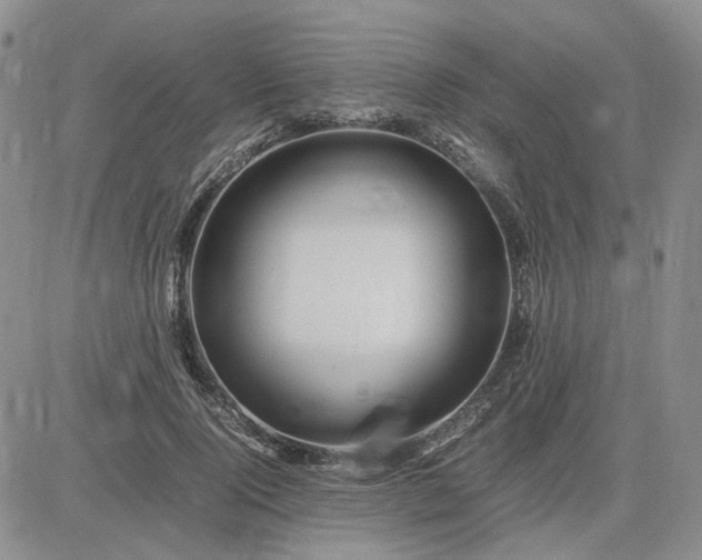 X0000083660740200702261141
