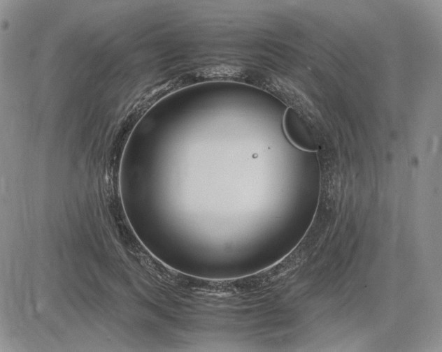 X0000083660743200702261141
