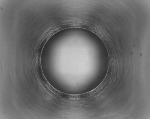 X0000083660744200702261141