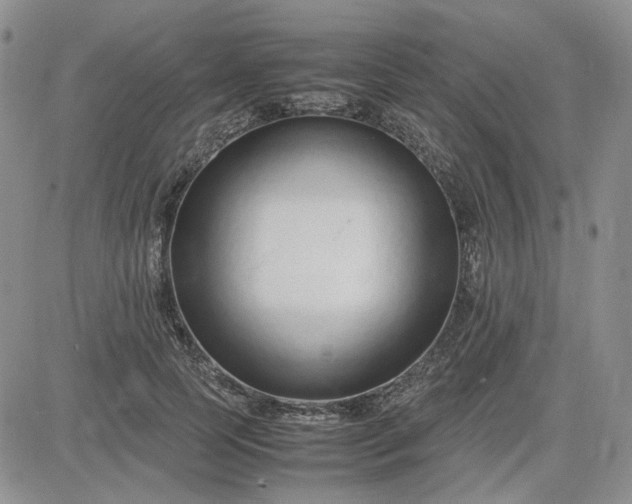 X0000083660745200702261141