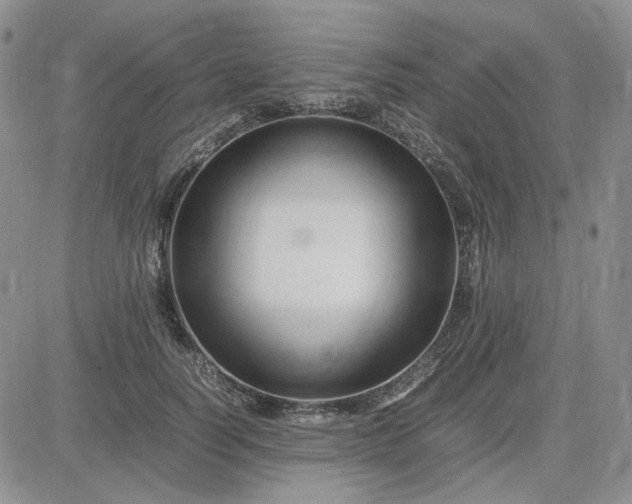 X0000083660746200702261141