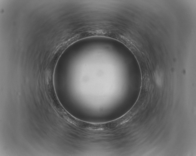 X0000083660747200702261141