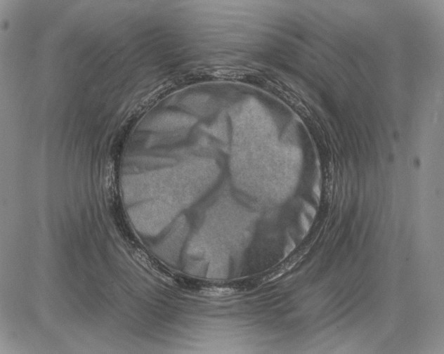 X0000083660748200702261141