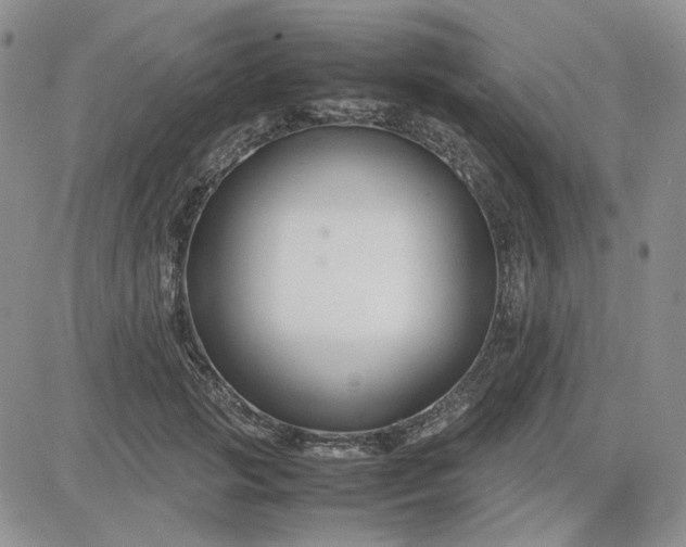 X0000083660749200702261141