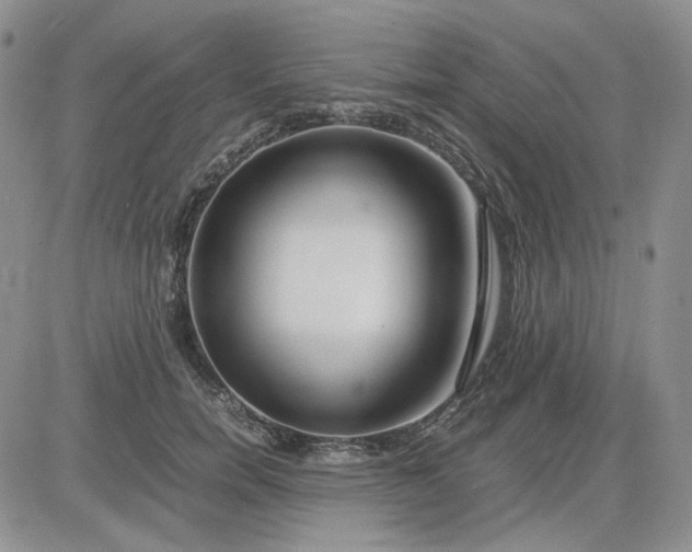 X0000083660750200702261141