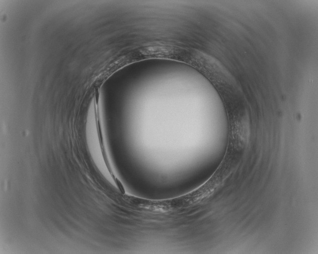 X0000083660751200702261141