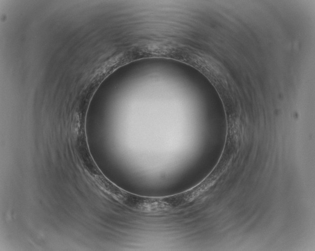 X0000083660752200702261141