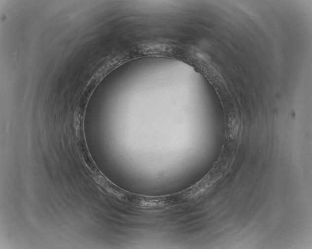 X0000083660753200702261141