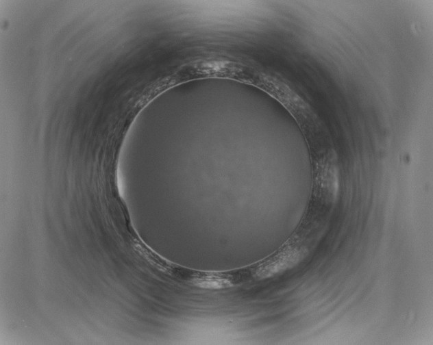 X0000083660754200702261141