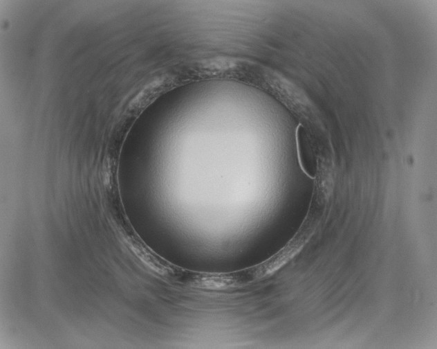 X0000083660758200702261141