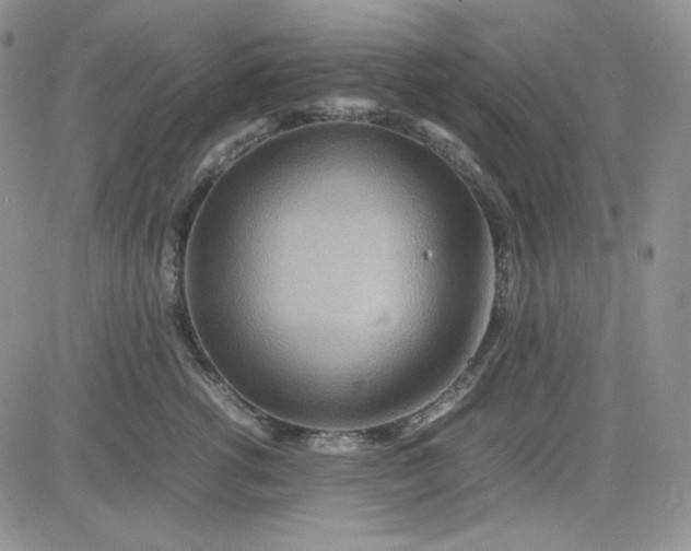 X0000083660762200702261141