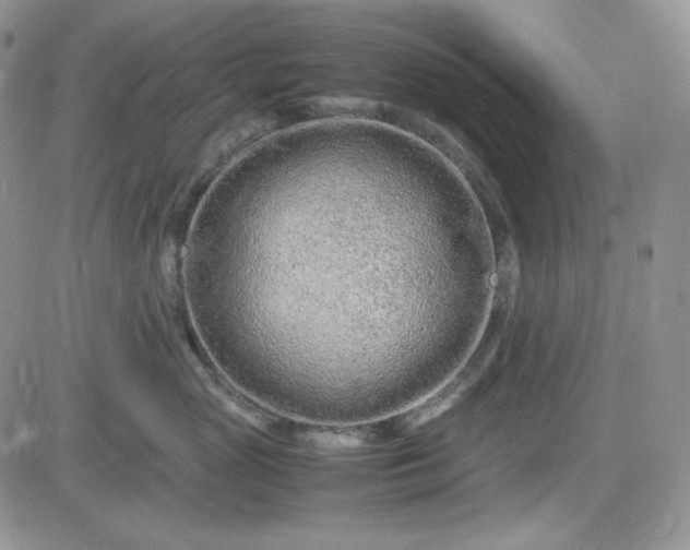X0000083660765200702261141