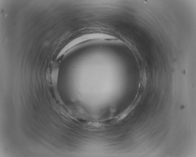 X0000083660766200702261141