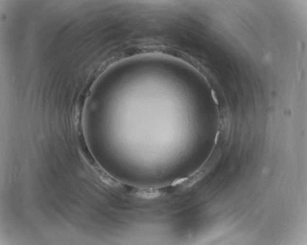 X0000083660767200702261141