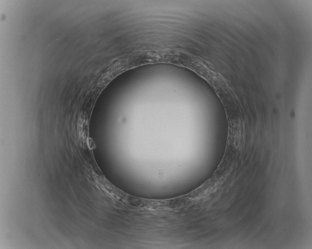 X0000083660770200702261141