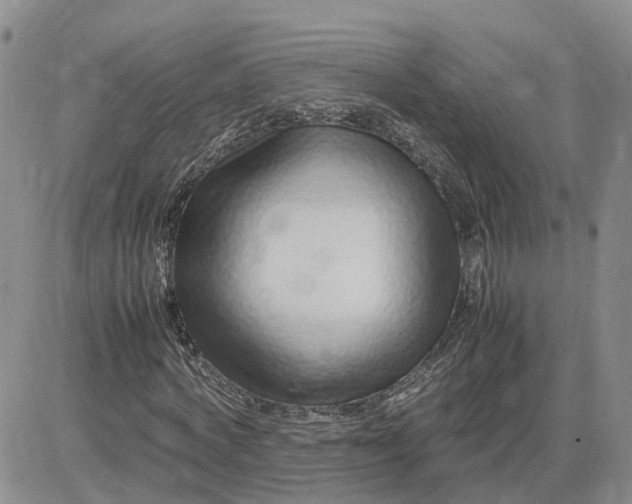 X0000083660772200702261141